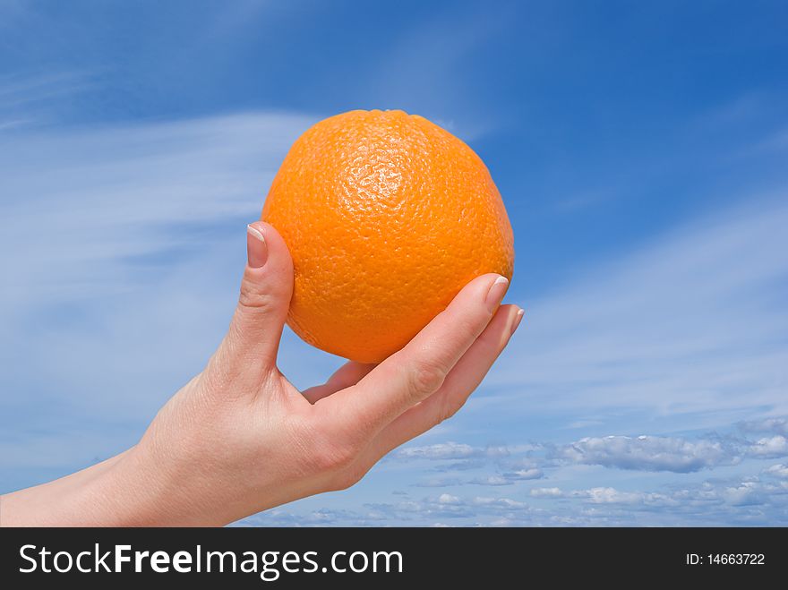 Hand with an orange