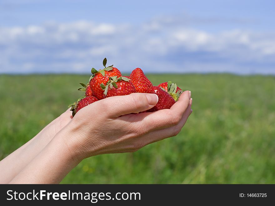 Handfull of strawberry