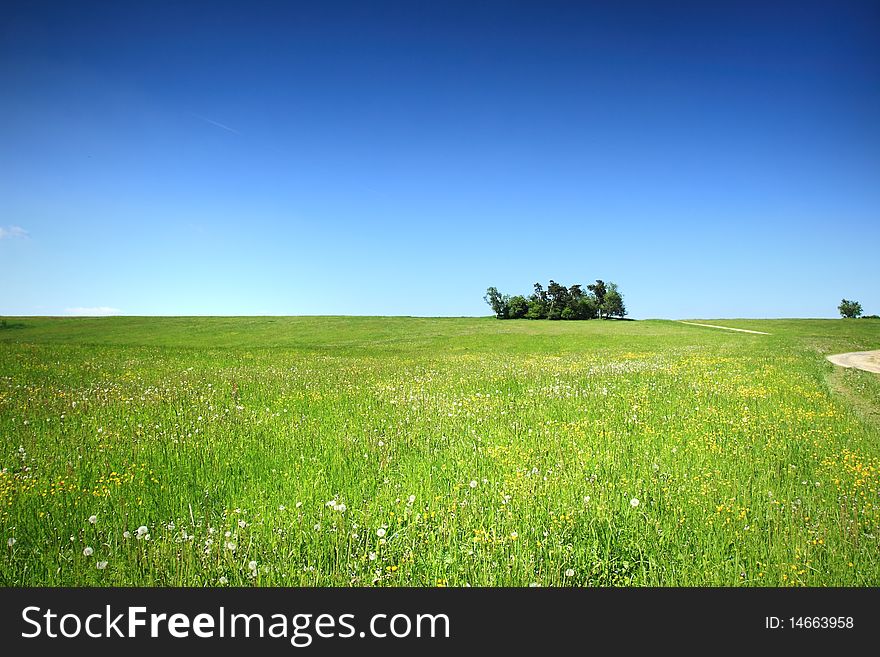 Field with grass and sky. Field with grass and sky
