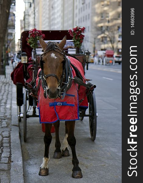 Horse with carriage waiting for customers next to the Central park in New York. Horse with carriage waiting for customers next to the Central park in New York