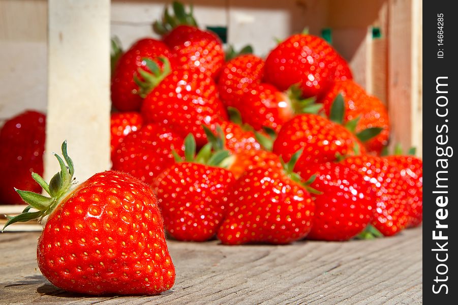 Many red Strawberries are falling out of a basket. Many red Strawberries are falling out of a basket