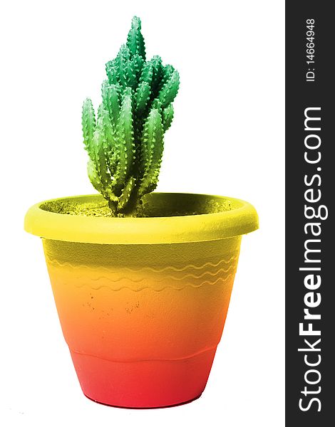 Green cactus on colorful flowerpot isolated. Green cactus on colorful flowerpot isolated