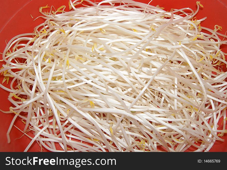 Bean sprouts, is made from beans processed. It is delicious, healthy green food.