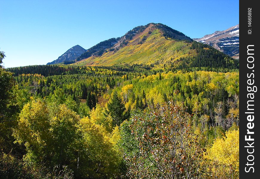 Fall trees and mountains in American Fork Canyon Utah. Fall trees and mountains in American Fork Canyon Utah.