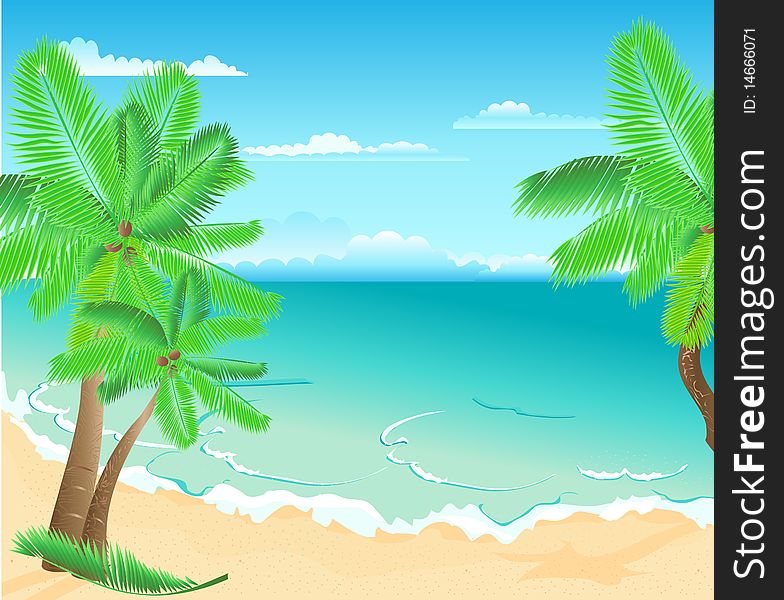 Tropical beach with palms and green leaves