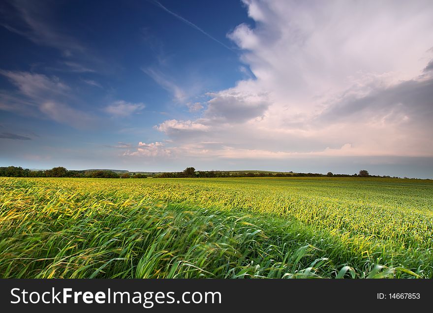 Dramatic clound on spring field in Slovak countryside