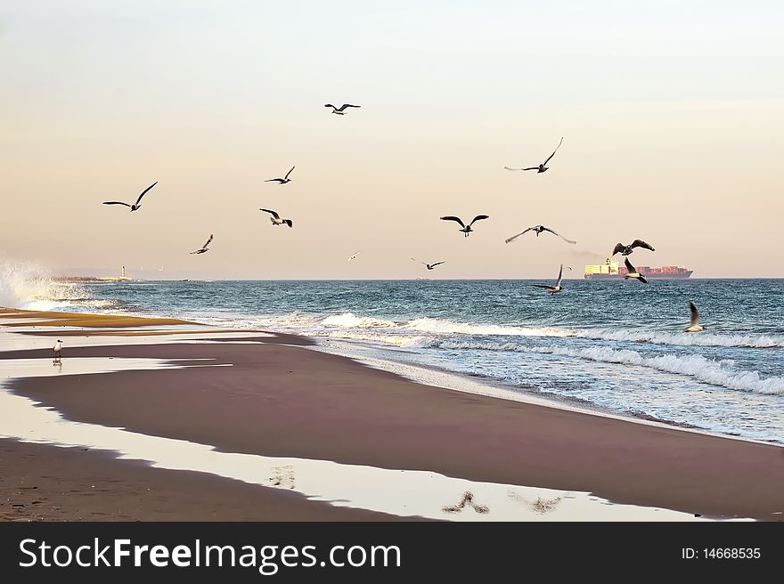 Lighthouse And  Seagull