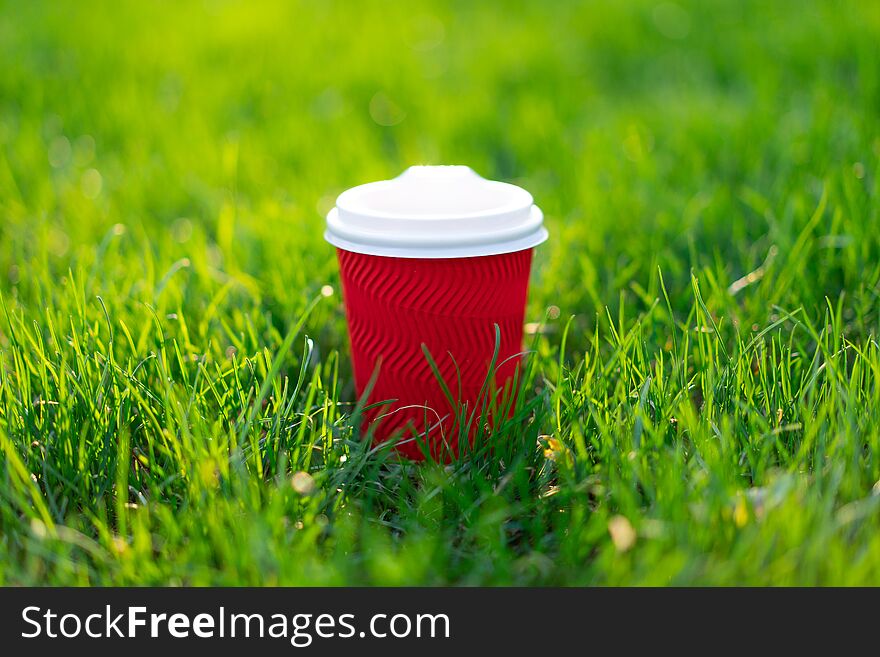 A red disposable cardboard cup with hot tea stands in fresh green grass. morning fresh concept