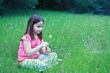 One Girl About To Blow On Dandelion Stock Images
