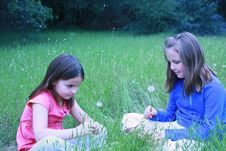 Two Young Girls About To Blow On Dandelions Stock Images