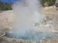 Yellowstone Geyser Royalty Free Stock Photos Yellowstone Geyser Royalty Free Stock Photos