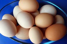 Chicken Eggs Stock Photo Chicken Eggs Stock Photo