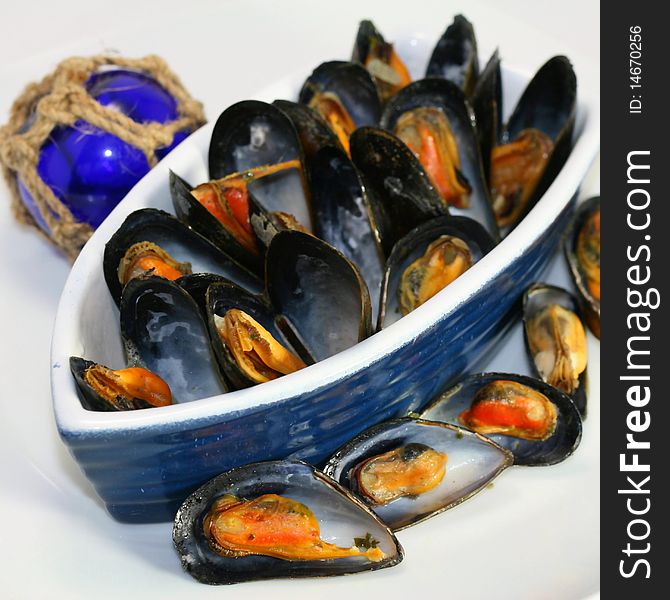 Mussels in the shell on a white backgroung
