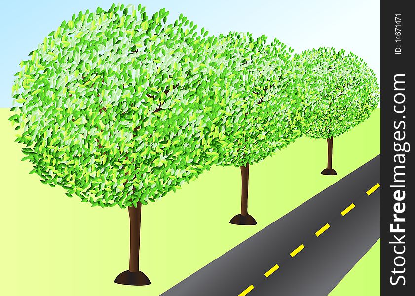 Illustration of three green trees near the road