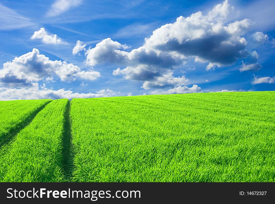 Green field and blue sky conceptual image.
