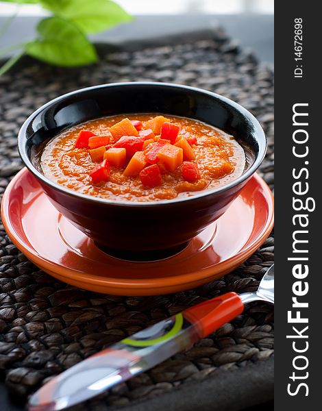 Spicy vegetable soup with pumpkin,bell pepper,tomato