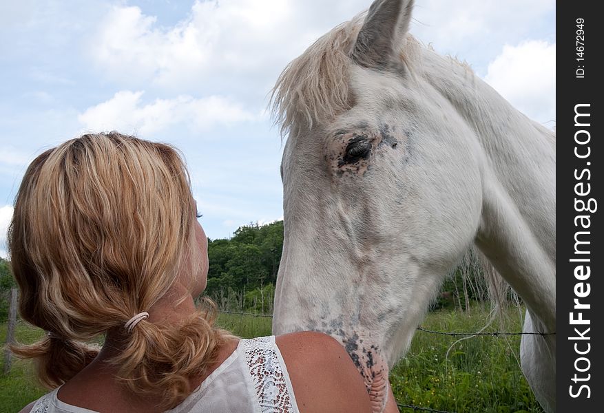 Young girl with a white horse. Young girl with a white horse.