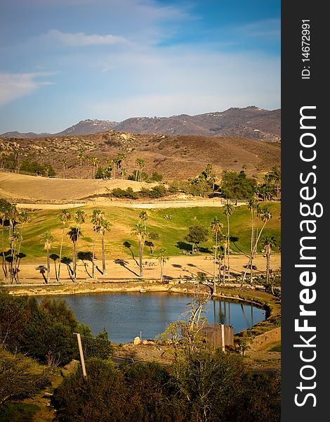 Beautiful landscape with pond and palm trees. Beautiful landscape with pond and palm trees.