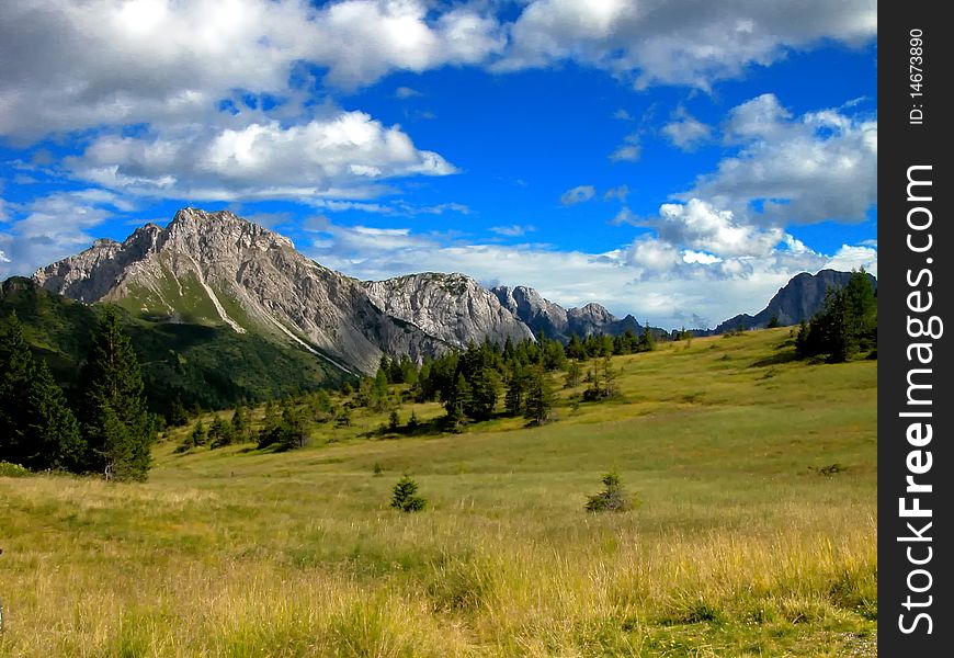 A meadow with a background mountain in Veneto. A meadow with a background mountain in Veneto