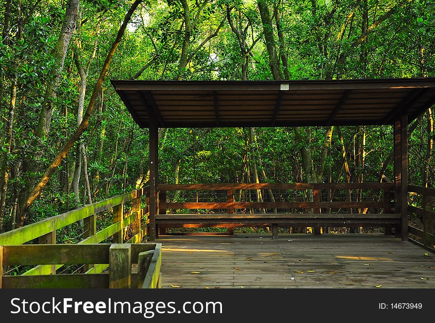 Swamp hut in the rain forest boardwalk. Swamp hut in the rain forest boardwalk