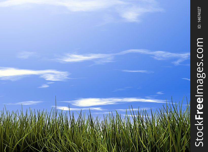Grass background and the sky