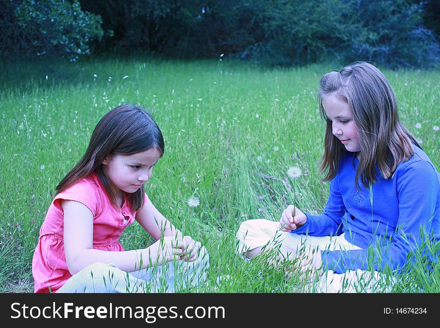 Two young girls about to blow on dandelions