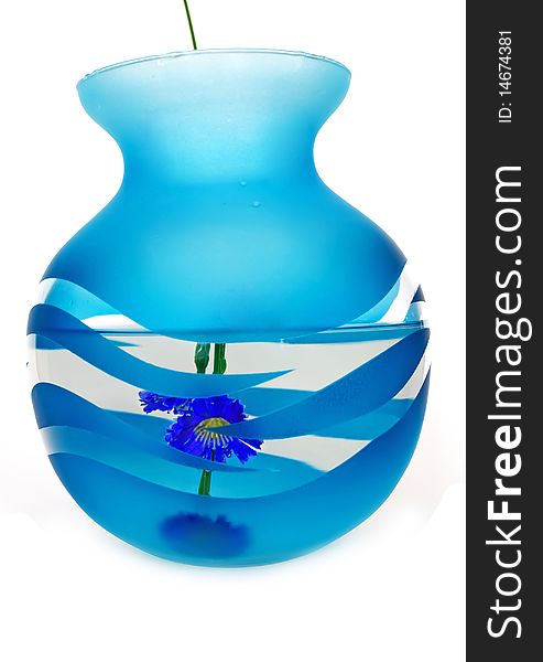 Dark blue vase with water.