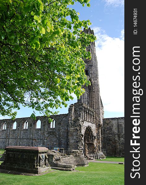 The ruined entrance tower of St. Andrews cathedral is partly hidden by a large tree. The ruined entrance tower of St. Andrews cathedral is partly hidden by a large tree.