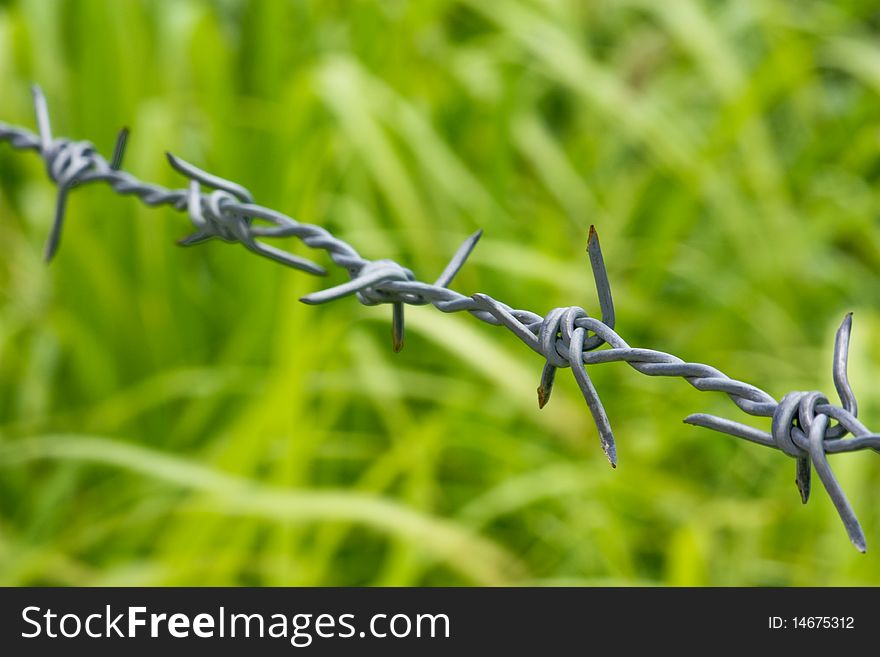 Barbed wire on blur background