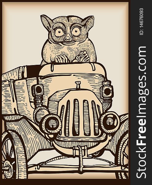 Animal driving an old car -drawing- sepia