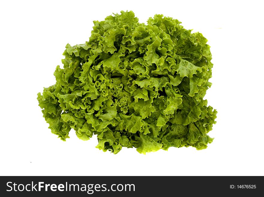 Fresh lettuce isolated on white background