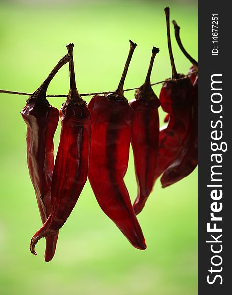 Translucent dried chili peppers hanging on rope