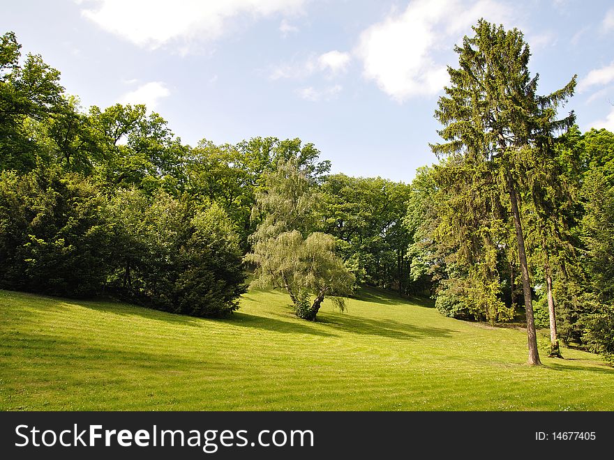 Park landscape during spring time. Park landscape during spring time