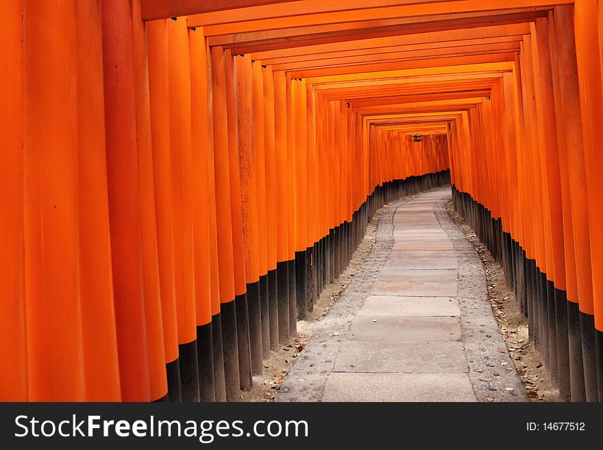 Corridor of vivid orange torii at Fushimi Inari Taisha Shrine, Kyoto in Japan. Corridor of vivid orange torii at Fushimi Inari Taisha Shrine, Kyoto in Japan.