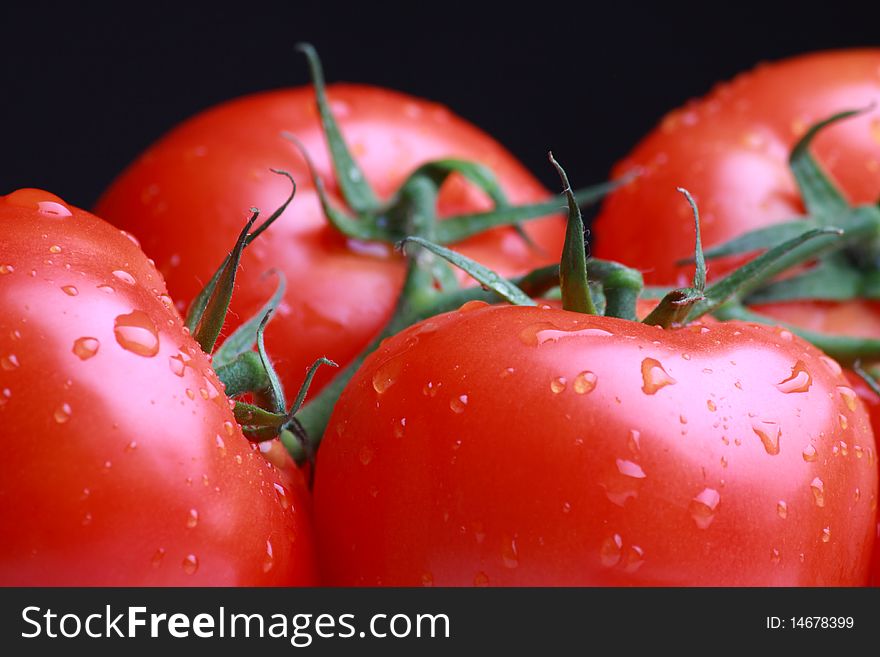 Fresh red tomatoes with black background. Fresh red tomatoes with black background