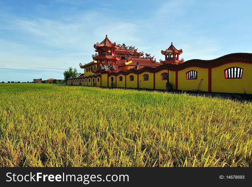 Paddy field ,chinese templer with blue sky background.