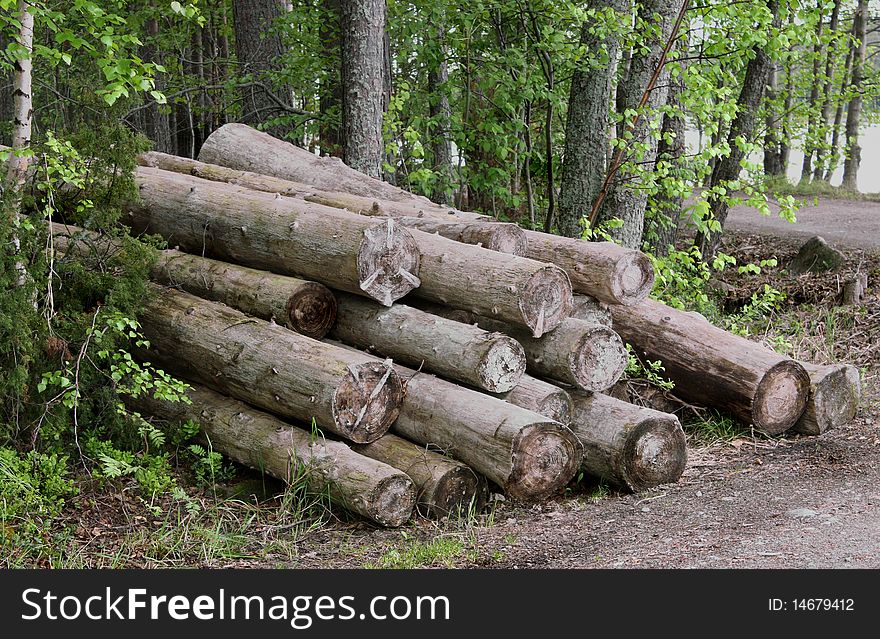 Unnecessary logs lay near road