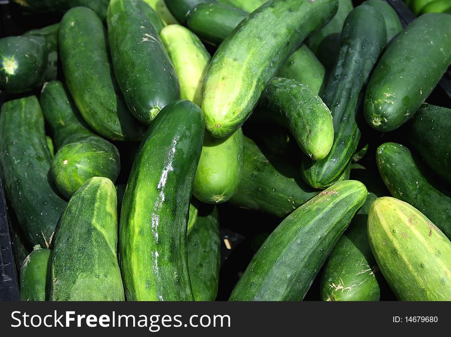 Delicious cucumbers on display at a farmers market.