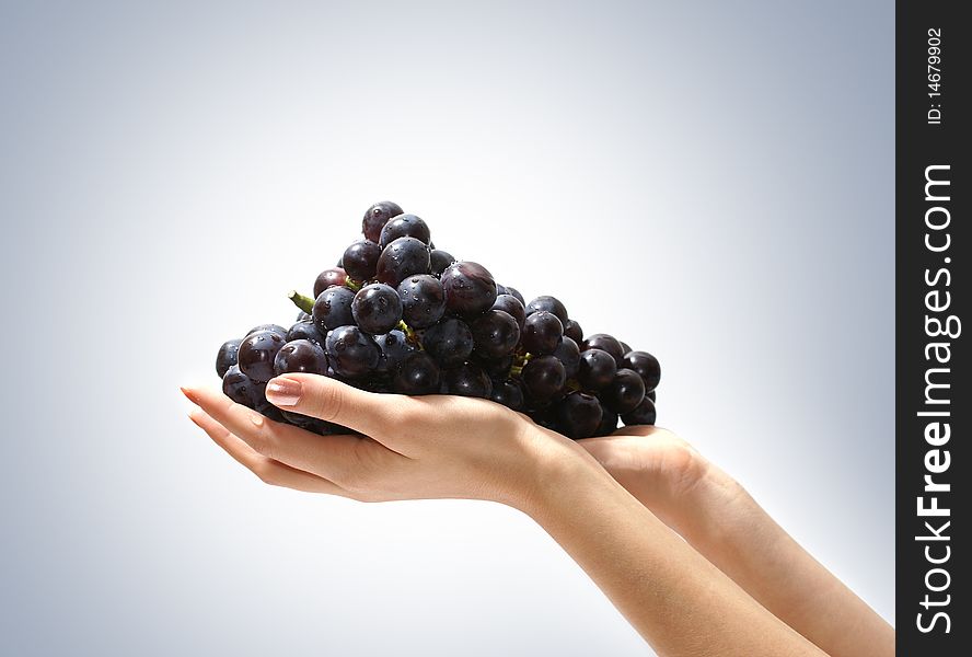 Image of fresh and tasty grapes in human hands. Isolated on a ligh blue gradient background. Image of fresh and tasty grapes in human hands. Isolated on a ligh blue gradient background.