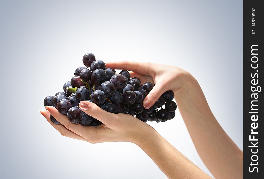 Image of fresh and tasty grapes held in human hands. Isolated on a ligh blue gradient background. Image of fresh and tasty grapes held in human hands. Isolated on a ligh blue gradient background.