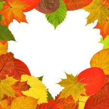 Heart Shape Bright Autumn Leaves Frame Stock Photography Heart Shape Bright Autumn Leaves Frame Stock Photography