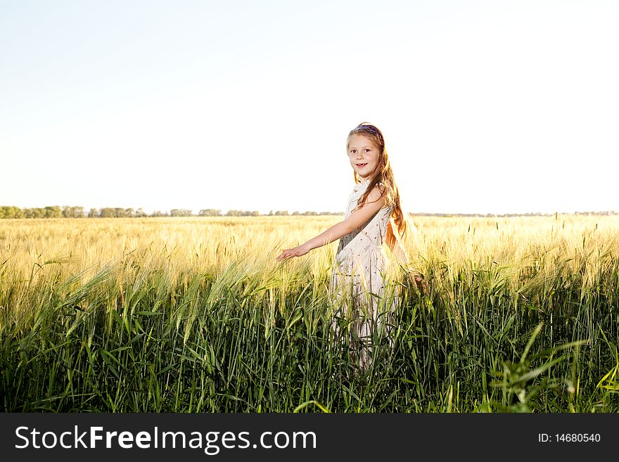 An image of a pretty girl in the field of barley. An image of a pretty girl in the field of barley