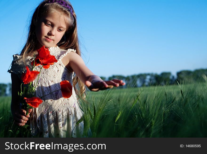 An image of a beautiful girl in the field with poppies. An image of a beautiful girl in the field with poppies