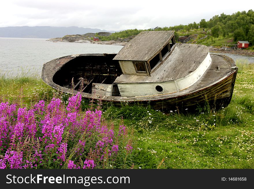Old wooden boat in the green in Norwegian fjord. Old wooden boat in the green in Norwegian fjord