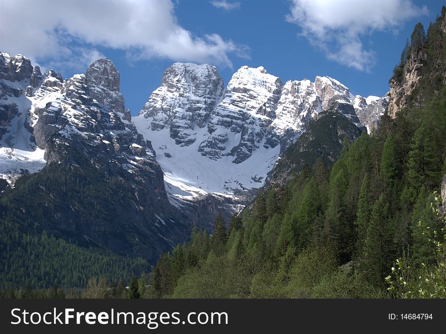 Dolomites in northern Italy: forest and snow