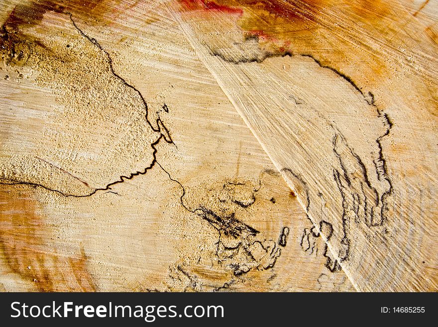 Cut log wood background texture.