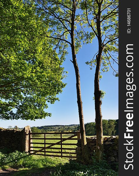 A gate and a dry-stone wall bordered by trees. A gate and a dry-stone wall bordered by trees