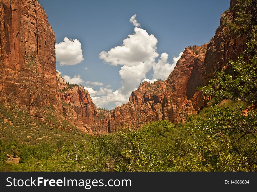 This is a picture of the canyon at Zion National Park in Utah