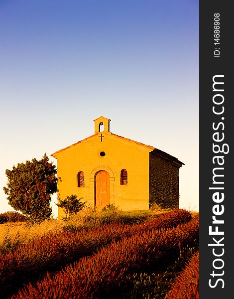 Chapel with lavender field, Plateau de Valensole, Provence, France