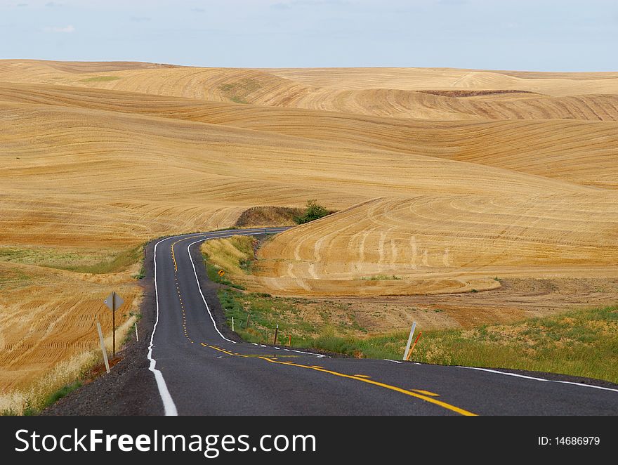 The Road to Wheat, Palouse, Washington